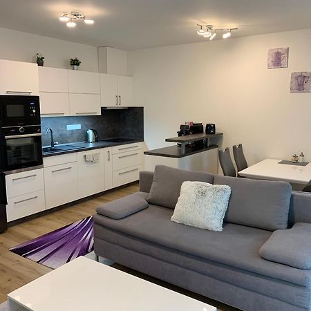 Apartman S Vyhlidkou Horní Maršov Exterior foto
